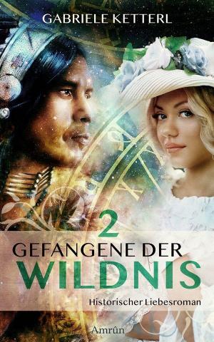Cover von GEFANGENE DER WIDLNIS 2