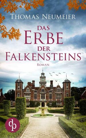 Cover von DAS ERBE DER FALKENSTEINS